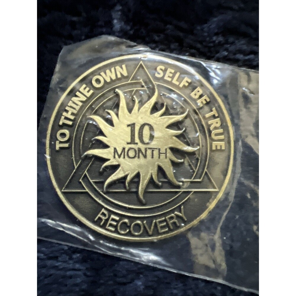 10 Month AA Bronze Sun Serenity Prayer Coin Chip Recovery Anniversary Token NA